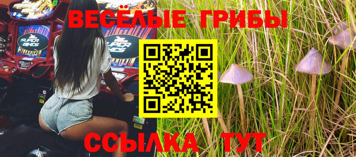 Псилоцибиновые грибы мухоморы Норильск