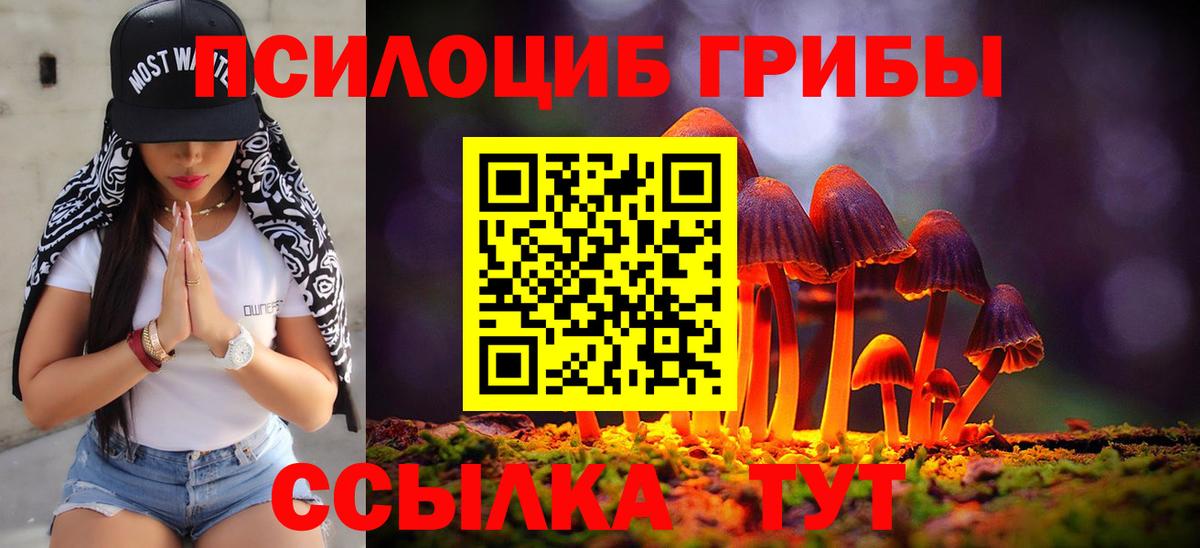 Галлюциногенные грибы прущие грибы  Галлюциногенные грибы MAGIC MUSHROOMS  где можно купить наркотик  Вход с VPN  Норильск 